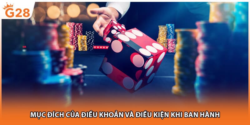 Mục đích của điều khoản và điều kiện khi ban hành 